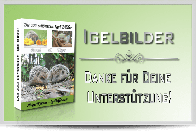 Igelbilder